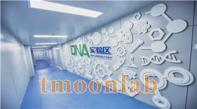 tmoonlab实验台