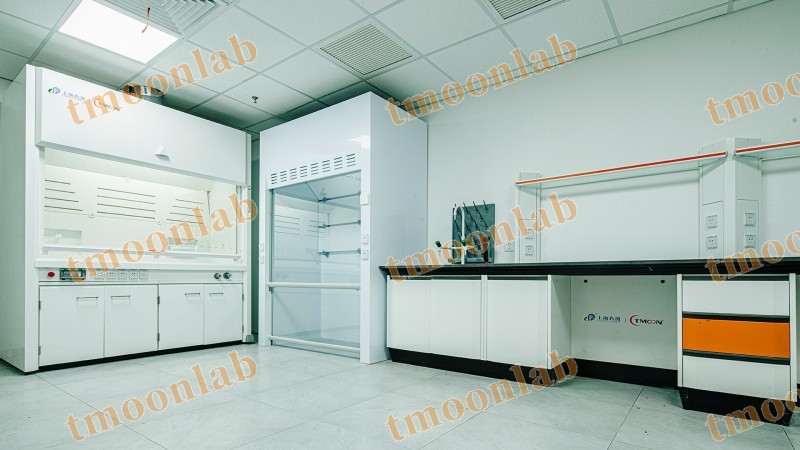 tmoonlab